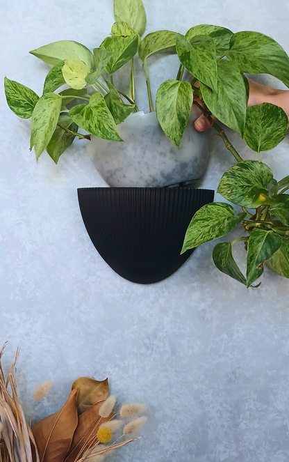 Flute - Gecko Planter®