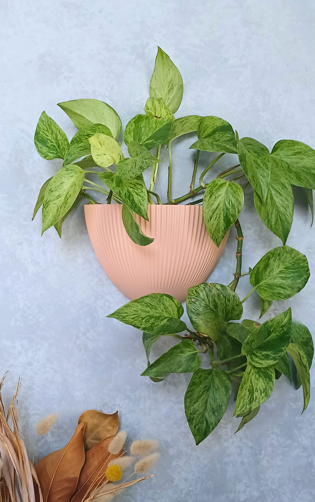 Flute - Gecko Planter®