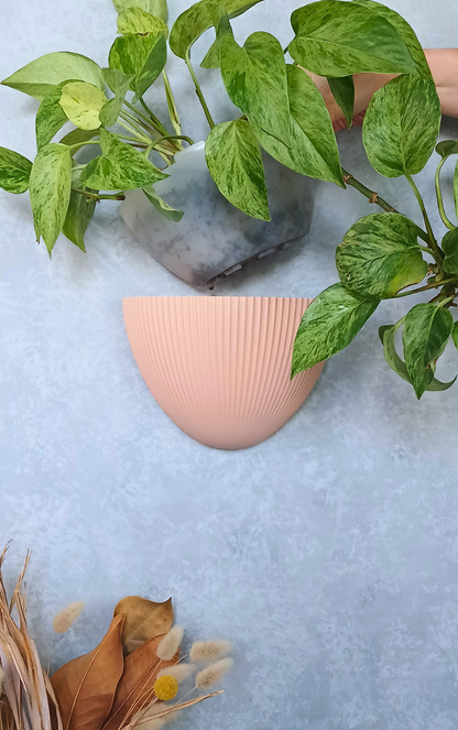 Flute - Gecko Planter®