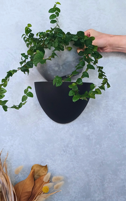 Classic - Gecko Planter®