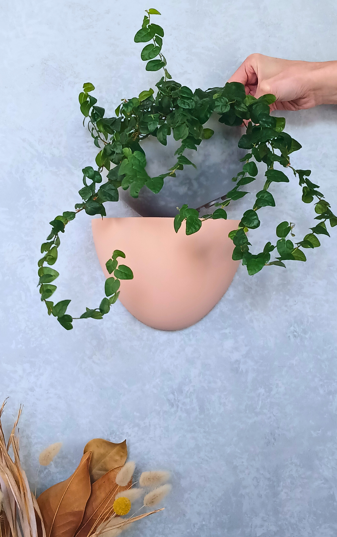 Classic - Gecko Planter®