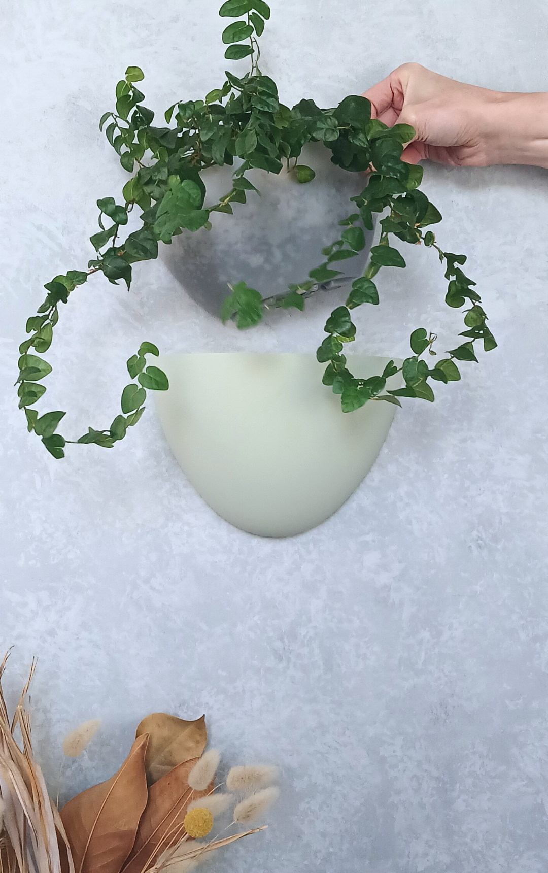 Classic - Gecko Planter®