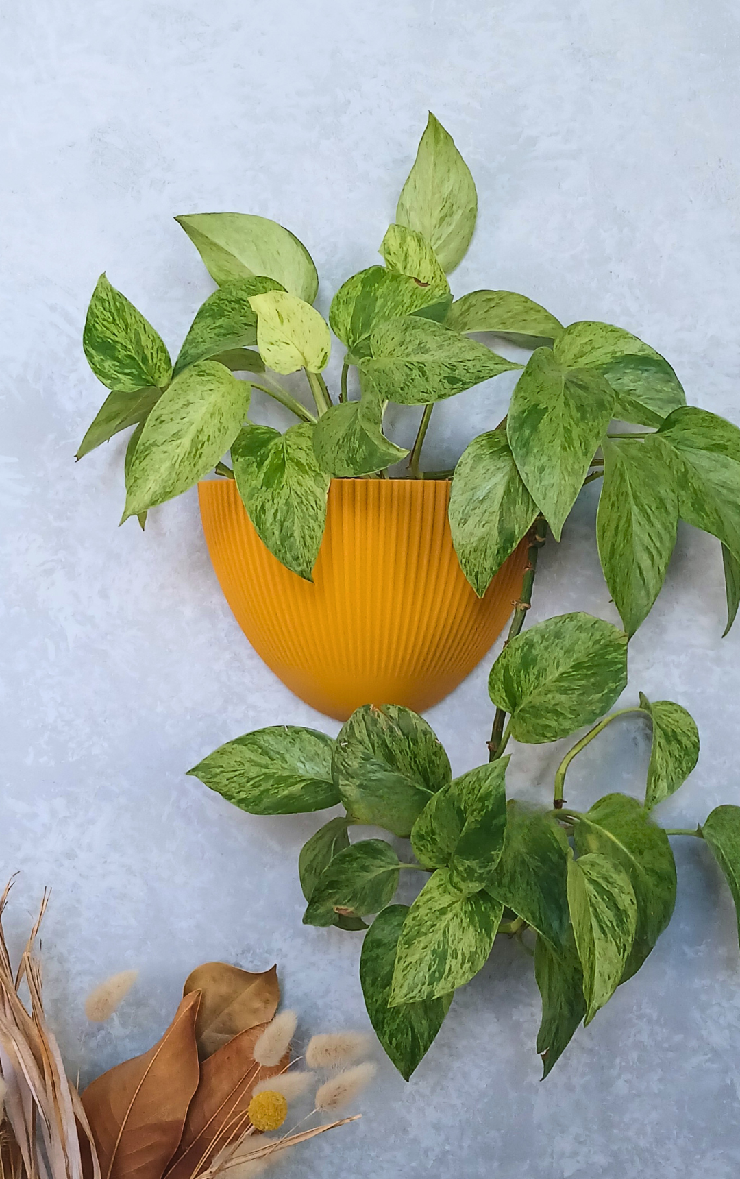 Flute - Gecko Planter®