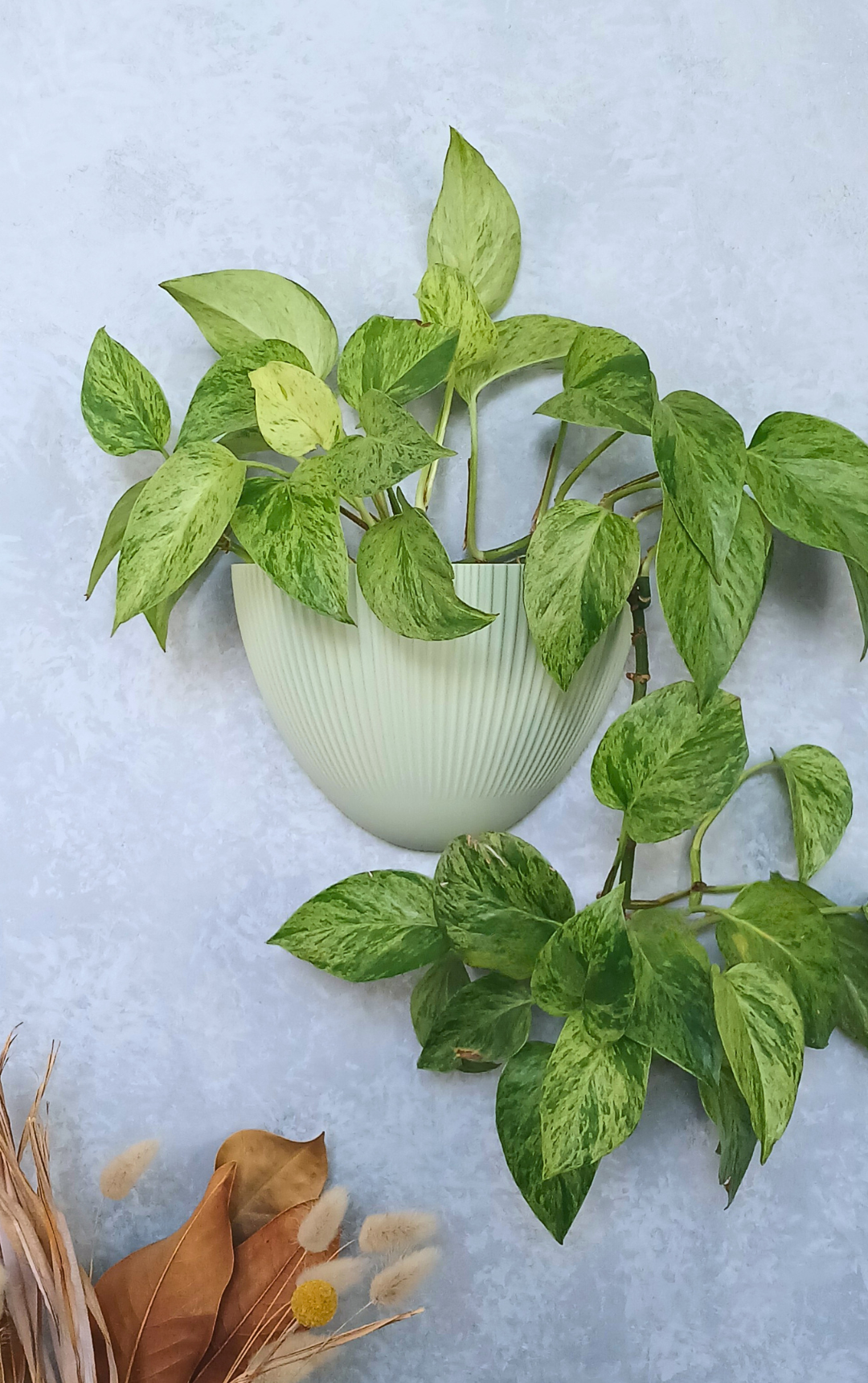 Flute - Gecko Planter®