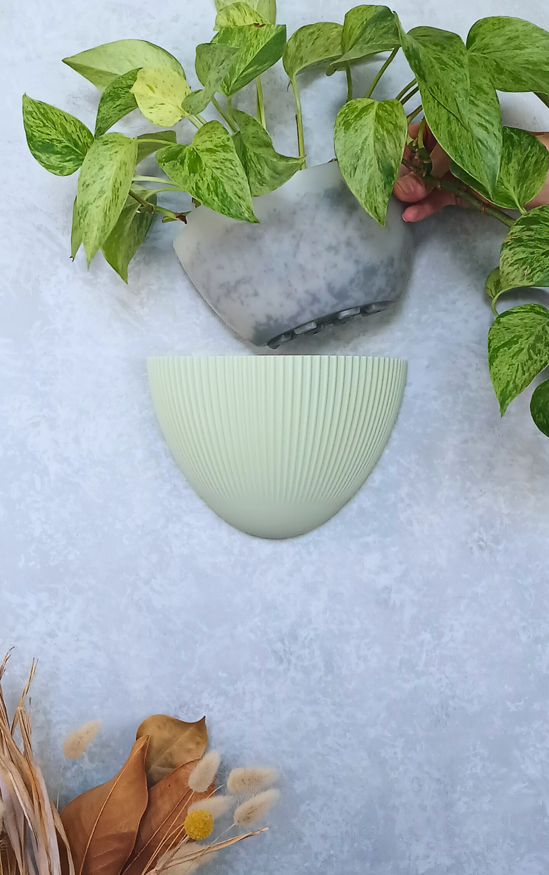 Flute - Gecko Planter®