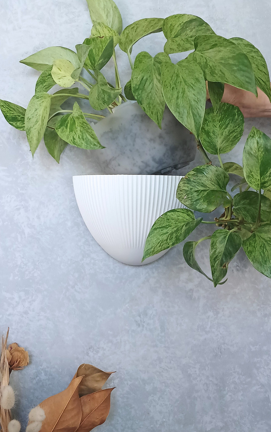 Flute - Gecko Planter®